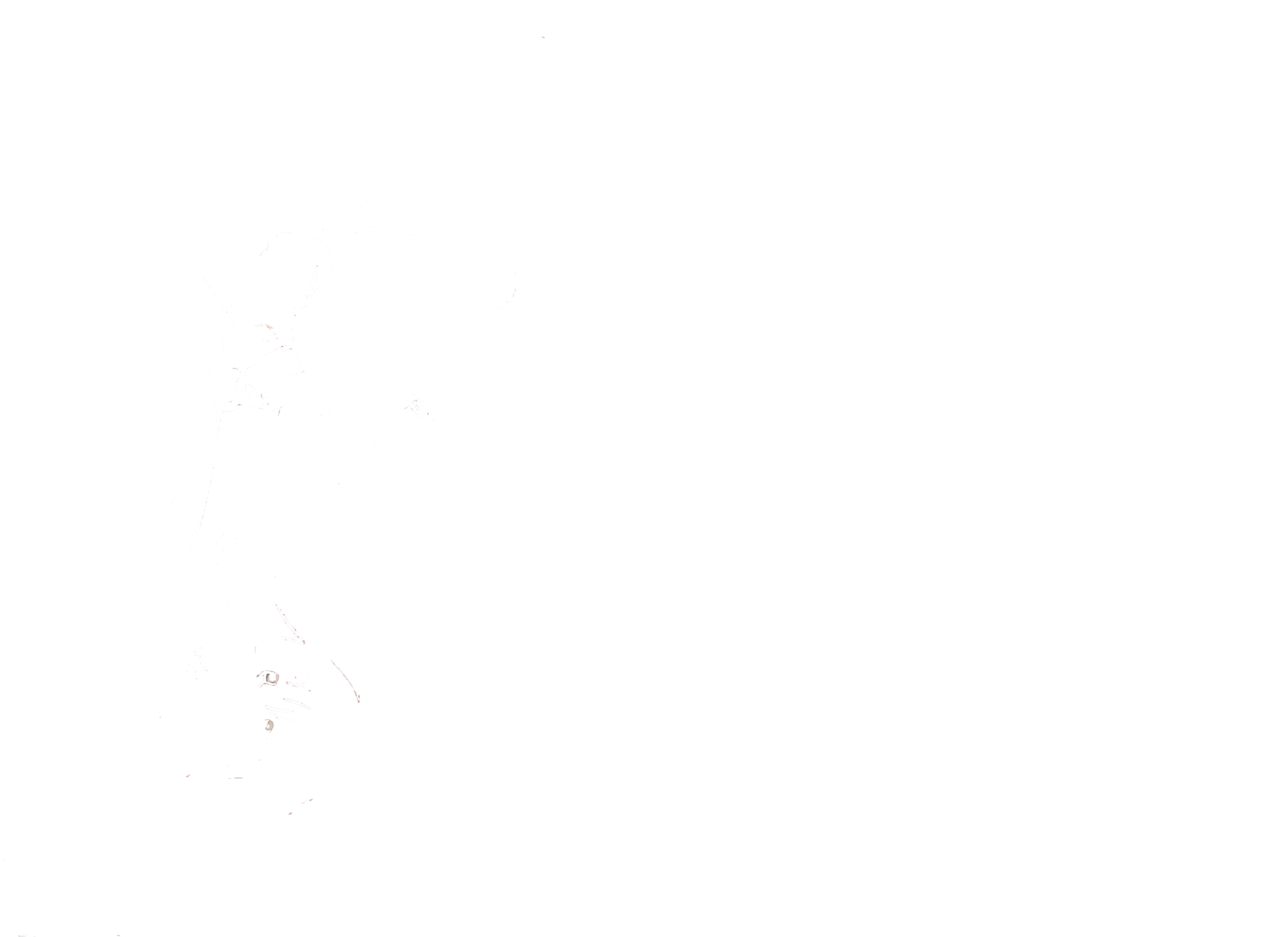 Logo CBC Casteix Bois Charpente avec numéro de téléphone